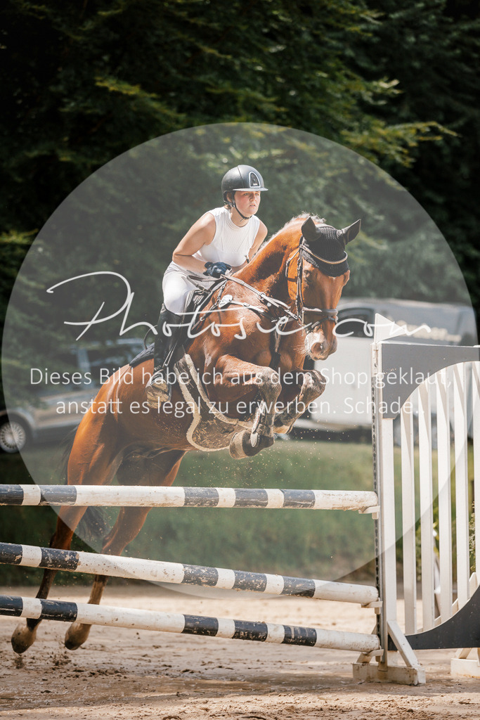 3I6A7831 | Stimmungsvolle Portraits und Reitsportfotografie im Ruhrgebiet und im Münsterland.

Pferdefotografie, Hundefotografie, Tierfotografie, Reportagen, Portraits von Tier und Mensch, Turnierfotografie in Bochum, Recklinghausen, Marl, Haltern am See, Dülmen.. - Realisiert mit Pictrs.com