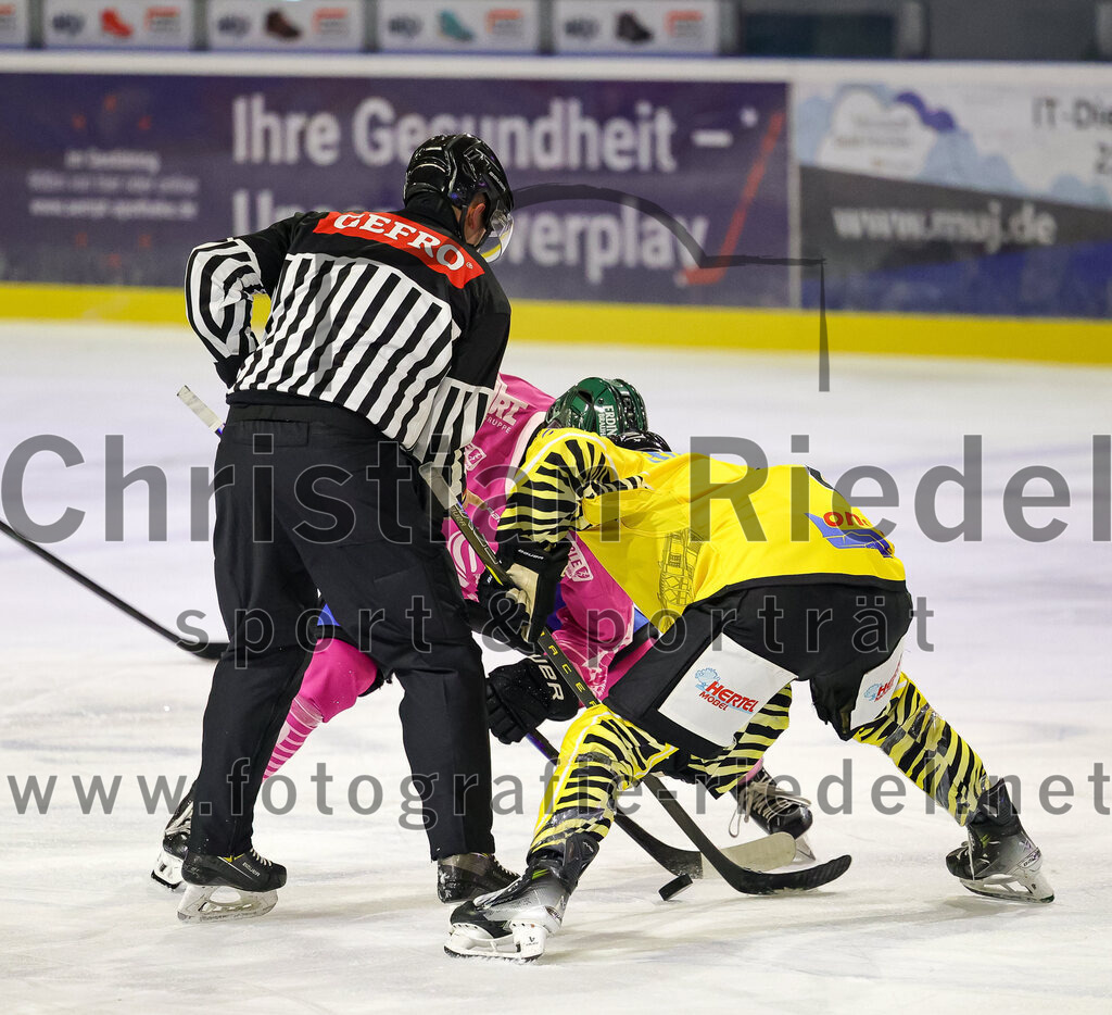 2025-10-10_140_TSV_Erding_gegen_onesto_Tigers_Bayreuth | Erding, Deutschland, 10.10.2025:Eishockey, Oberliga Süd 2025 / 2026, 7. Spieltag, TSV Erding gegen onesto Tigers Bayreuth, Endergebnis: 2:5Foto: Christian Riedel / fotografie-riedel.net