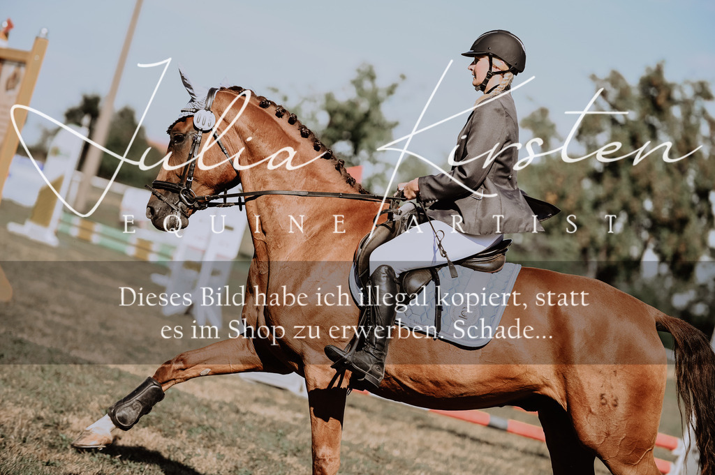 DSC_9305 | Pferde- und Turnierfotografie in Westsachsen. Pferdeportraits, Auftragszeichnungen und intuitive Kunst.