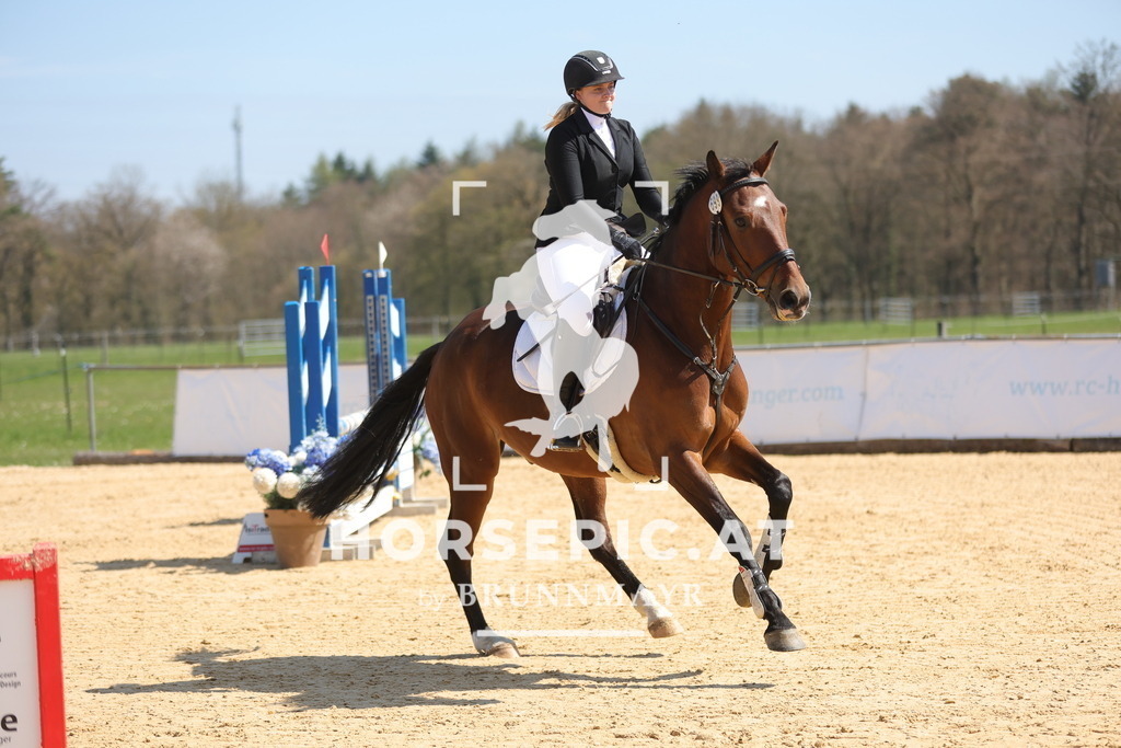 0P6A0413 | Willkommen bei Brunnmayr - Design & Fotografie – Ihrem Spezialisten für Reitturniere und Pferdeveranstaltungen in Oberösterreich, Salzburg und Bayern! Seit über 17 Jahren sind wir leidenschaftlich dabei.