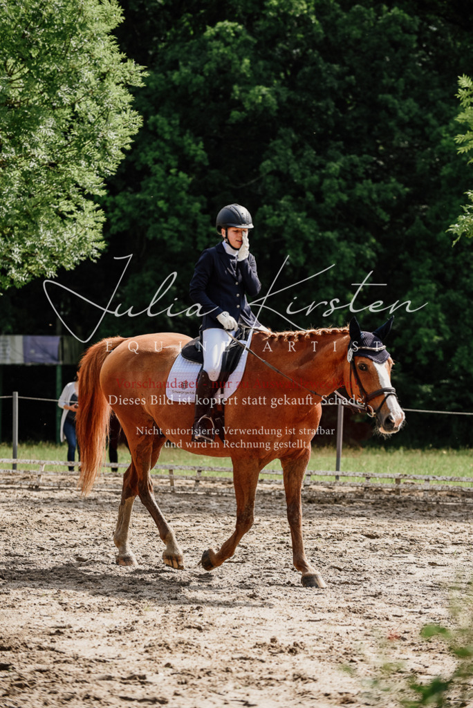 DSC_0051 | Pferde- und Turnierfotografie in Westsachsen. Pferdeportraits, Auftragszeichnungen und intuitive Kunst.