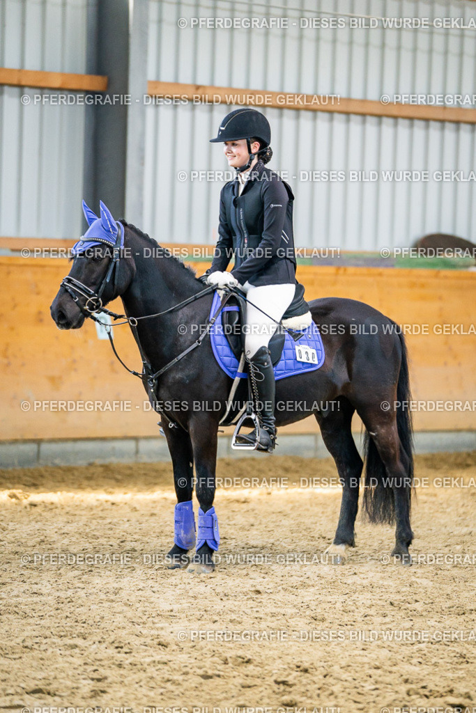 DSC01241 | Pferdegrafie