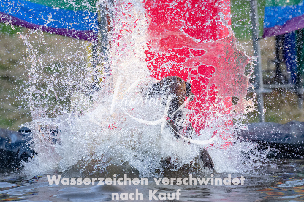 1915_ZZ92485 | kk-dogfotos