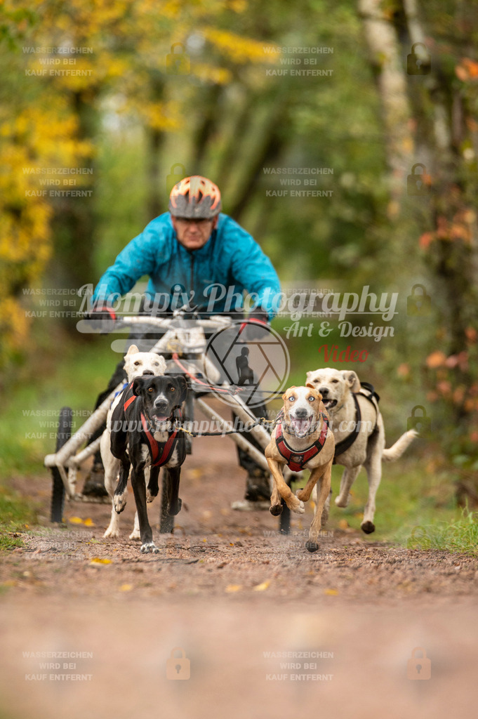 TSB_2023_E4_Kart-5 | mompixphotography