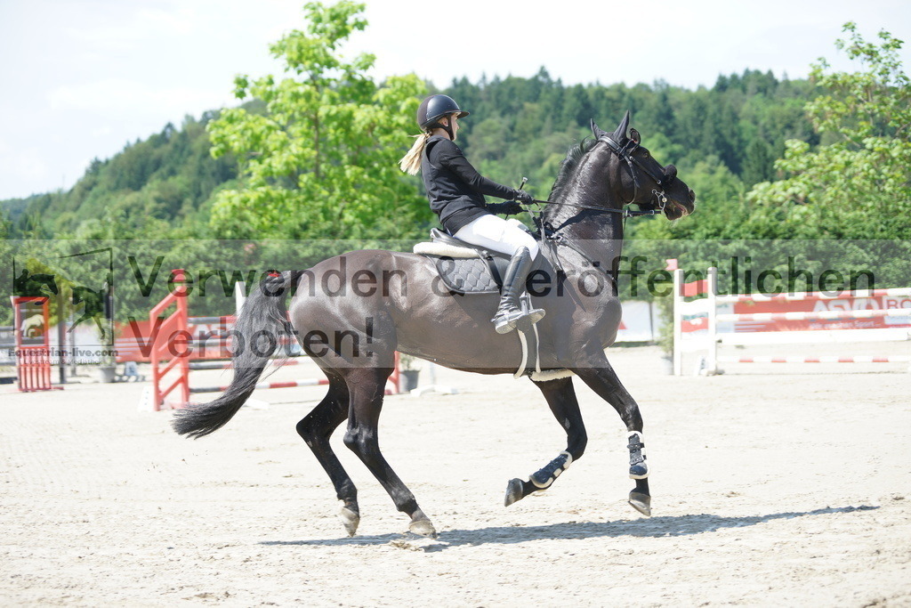 DSC00801 | equestrian-live-com