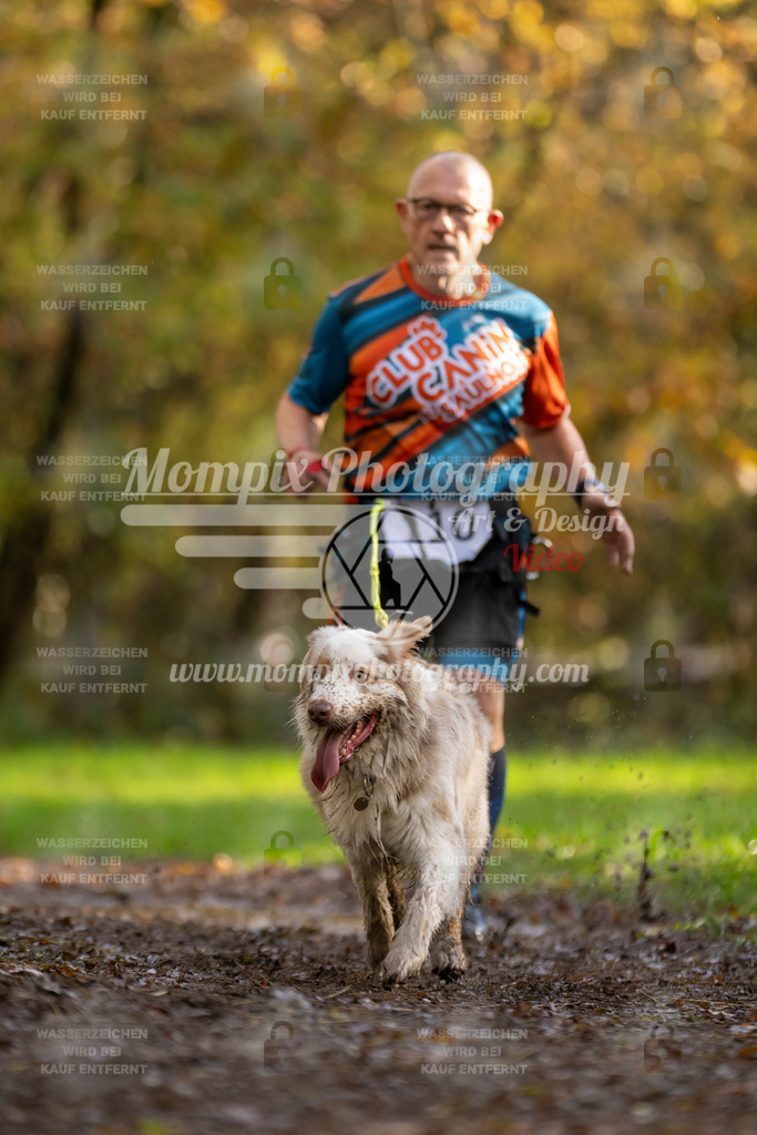 MompixPhotography_Bischwiller23_Canicross-88 | PayLife