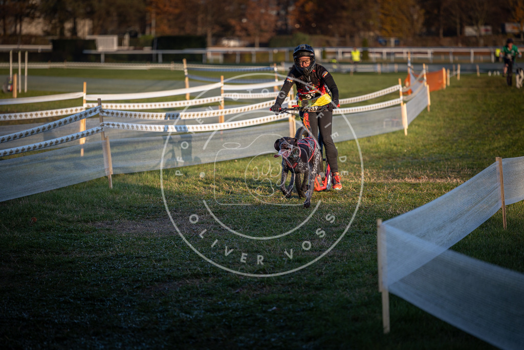 CaniXpix_0L8A2329 | Hundefotografie, Tierfotograf, Pfotenfotografie, Fotoshooting Hund, Hunde Portrait, Hundesport, Hundeportraits, Heideshooting, Hunde, Sportfotograf, Hundefotograf, Turnierhundsport, THS,  - Realisiert mit Pictrs.com