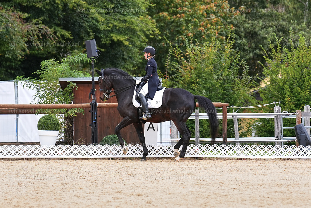 11-007-Dressur S___-Marixx-1708 | working equitationturnier fotograf videograf stoibphotography marixx film working equitation deutschland reitsport turnierfotografie eventfotografie equestrian events
