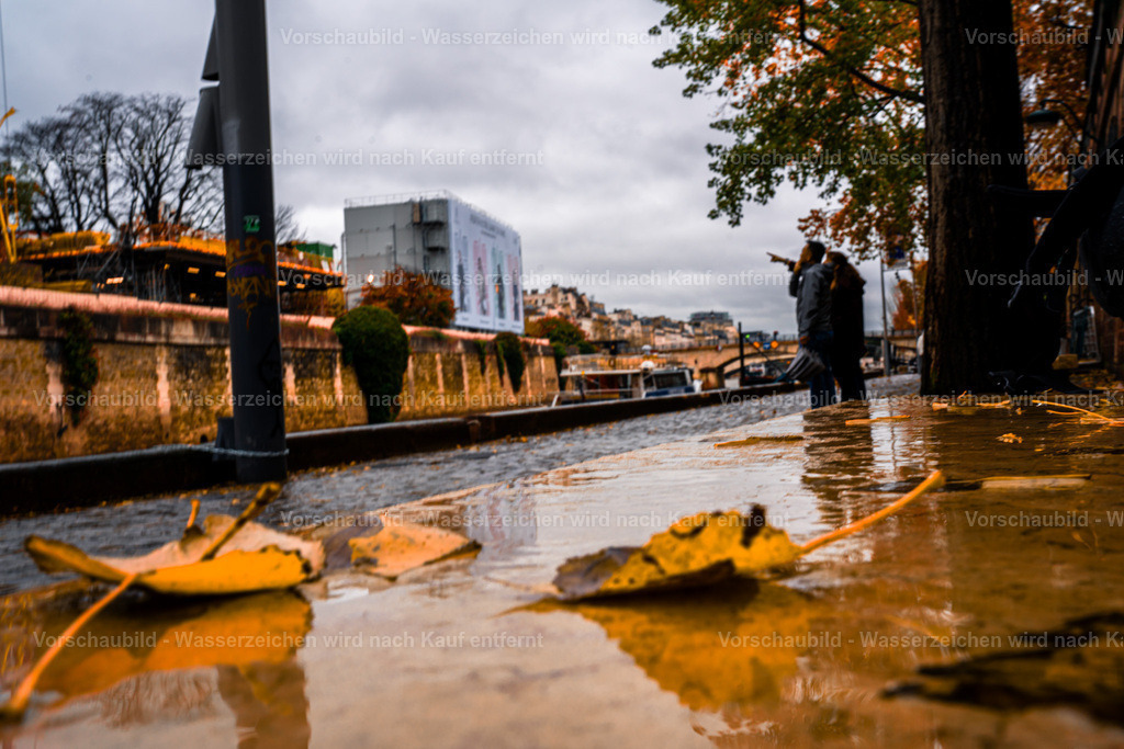 DSC09031-2 2 | marcuslinek