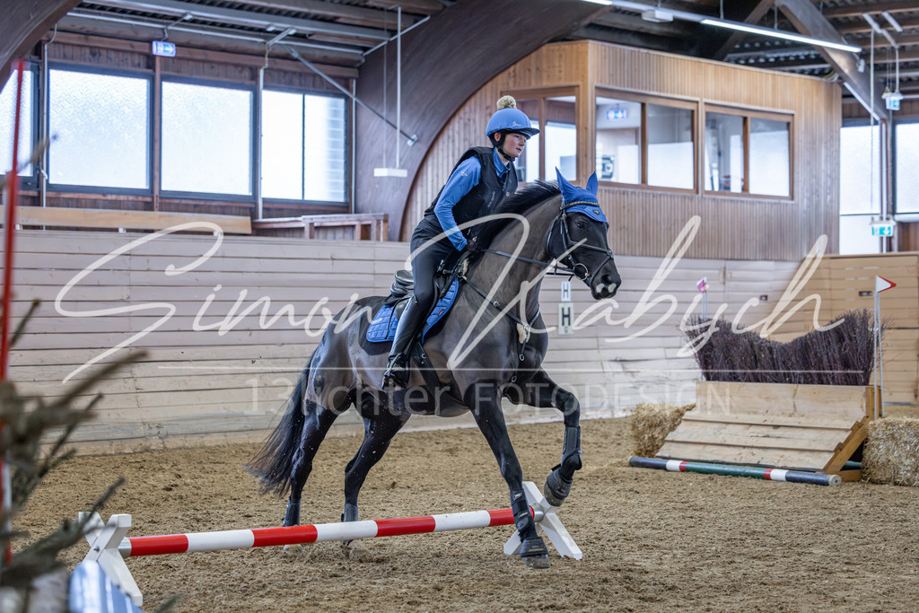 20260221-_3LI8985 | Tierfotografie Pferde, Hunde, Katzen, Haustiere.
Turnierfotografie Reitturniere, Reiten, Springreiten, Dressur in Hanau, dem Main-Kinzig-Kreis und dem Rhein-Main- Gebiet um Frankfurt