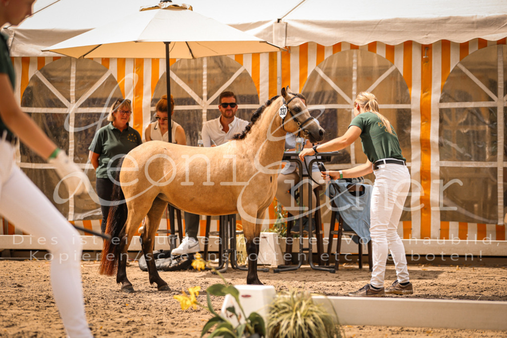 04.So00017 | Leoni Ertmer Photography - Realisiert mit Pictrs.com