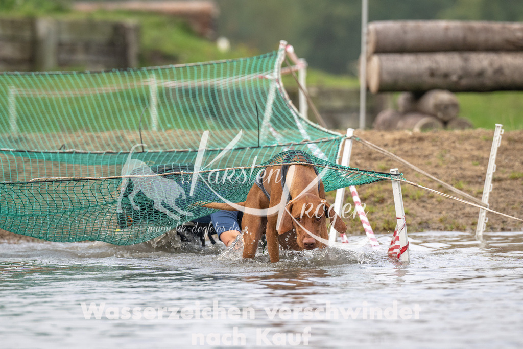 0916_ZZ94416 | kk-dogfotos