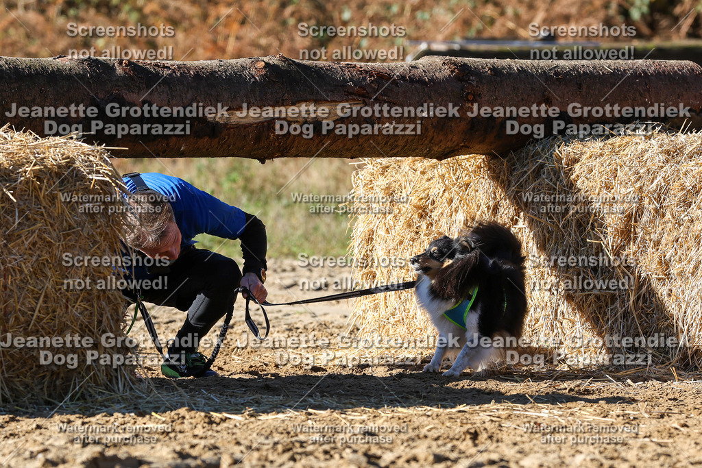 Dog Paparazzi - Strongdog 10-25-2492 | Dog Paparazzi Jeanette Grottendiek Fotografie & Videografie - Realisiert mit Pictrs.com