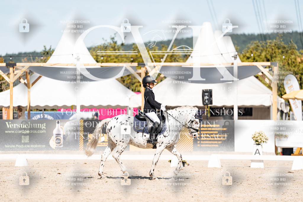 CK908526 | Turnierfotografie Pferdefotografie Trier Rheinland-Pfalz Pferdesport Reitsport Tierfotografie Sportfotografie Pferdevideo Pferdevideografie Equestrianvideography equestrianphotography  - Realisiert mit Pictrs.com