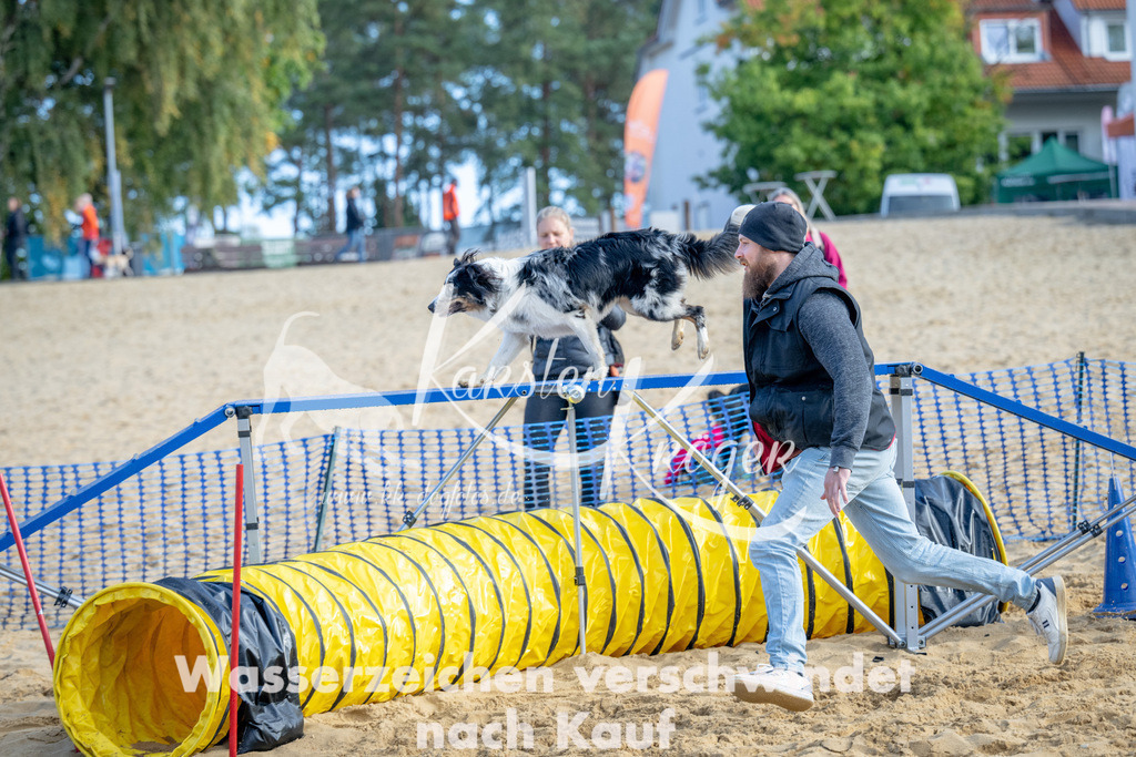 0958_ZZ93235 | kk-dogfotos