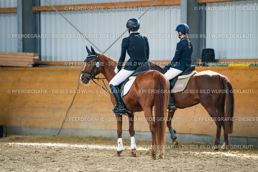 DSC02078 | Pferdegrafie