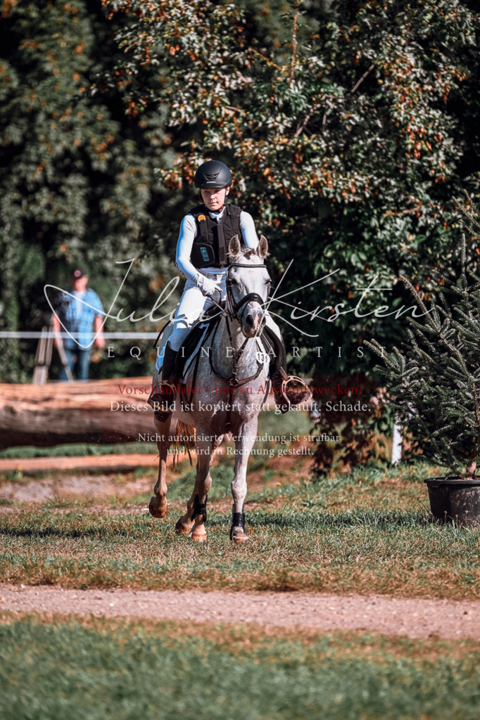 DSC_0657 | Pferde- und Turnierfotografie in Westsachsen. Pferdeportraits, Auftragszeichnungen und intuitive Kunst.
