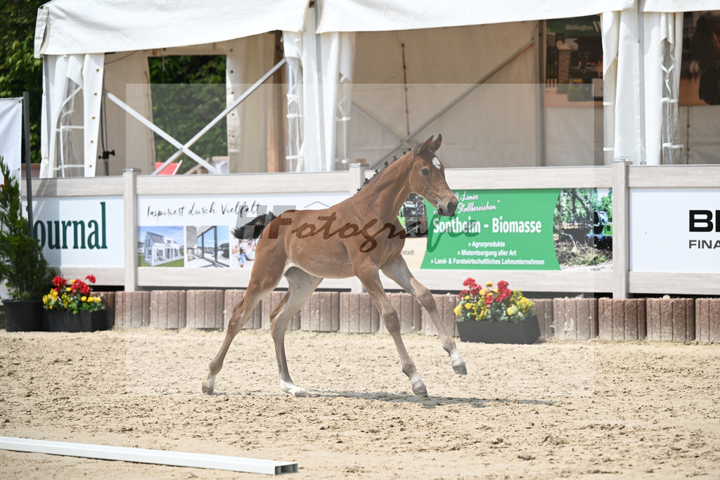 Cardento x Heartbreaker_SF_Wagner_12250871 | hf-fotografie - Realizzato con Pictrs.com