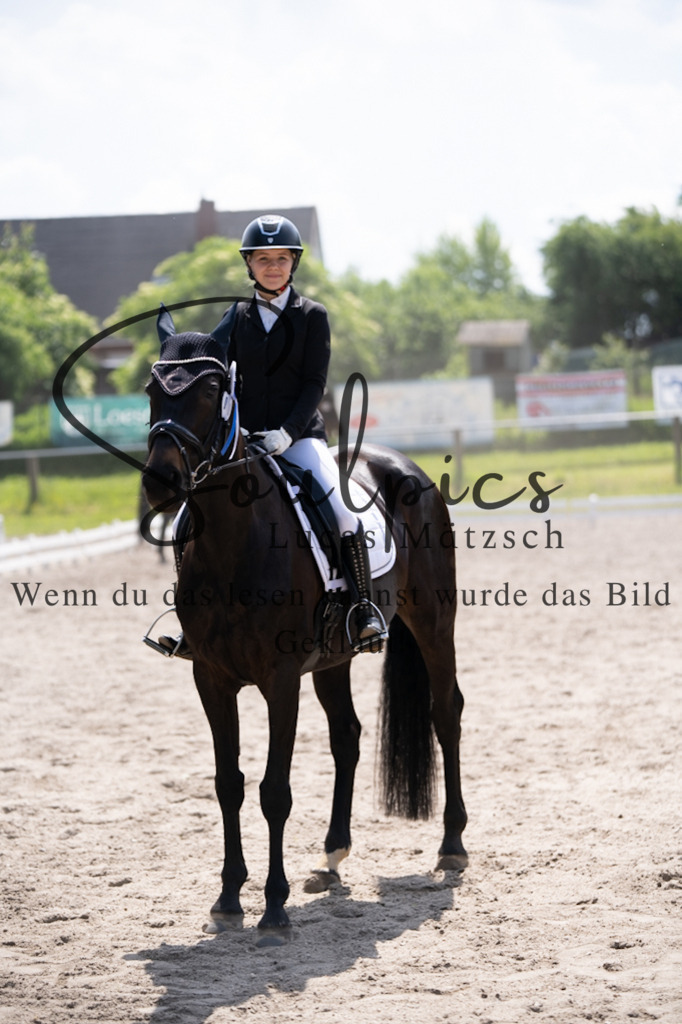 A7V02842 | Pferdefotograf