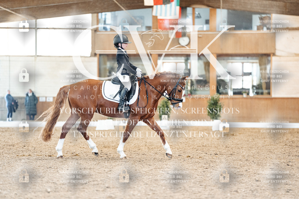 CK908181 | Turnierfotografie Pferdefotografie Trier Rheinland-Pfalz Pferdesport Reitsport Tierfotografie Sportfotografie Pferdevideo Pferdevideografie Equestrianvideography equestrianphotography  - Realisiert mit Pictrs.com