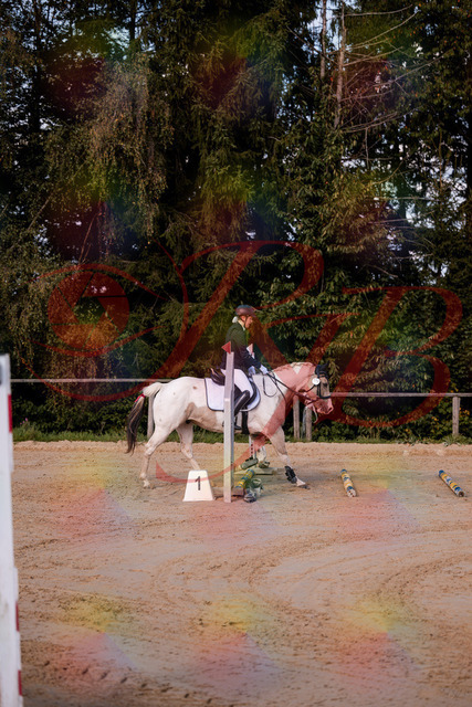 2026_10_03_Siefer-Hof_144155_Z81_14223499 | Professionelle Reitsport-, Turnier- und Eventfotografie von Robert Broda. Galerien mit ausgewählten und bearbeiteten Bildern direkt online ansehen und bestellen.