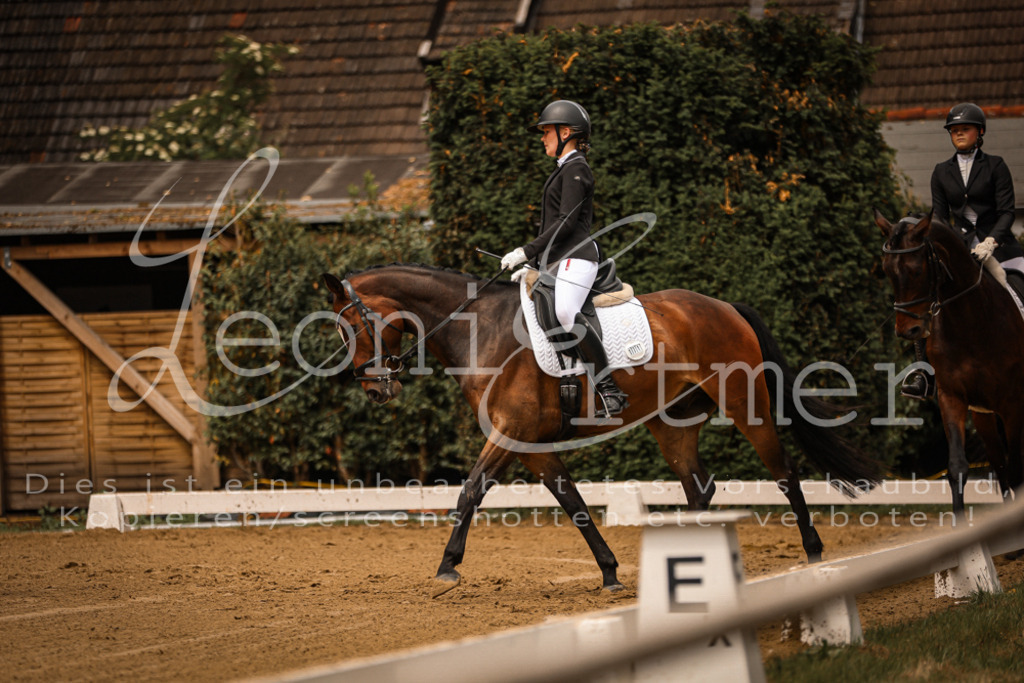 DoDrE00050 | Leoni Ertmer Photography - Realisiert mit Pictrs.com