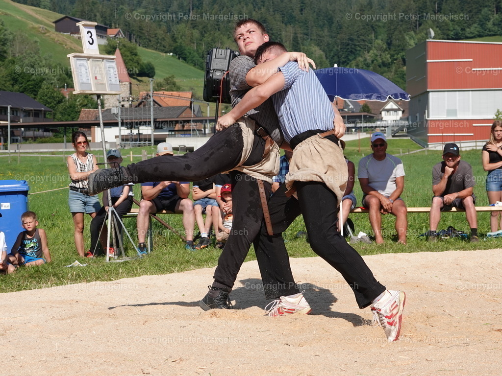 DSC04765 | Schwingen - Realisiert mit Pictrs.com