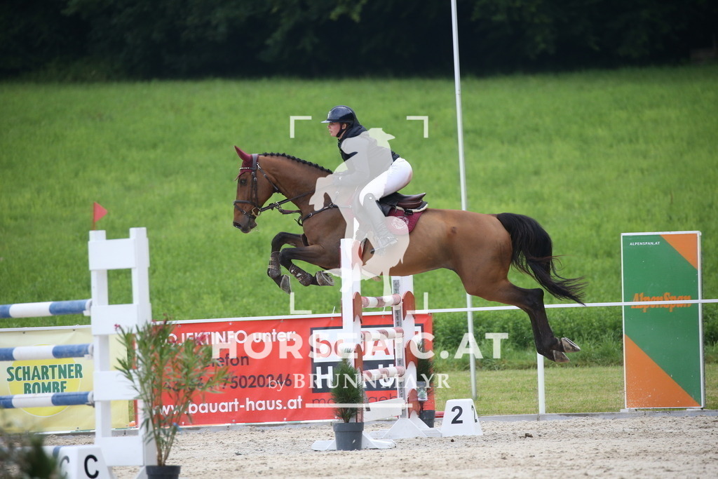 DL2Q2913 | Willkommen bei Brunnmayr - Design & Fotografie – Ihrem Spezialisten für Reitturniere und Pferdeveranstaltungen in Oberösterreich, Salzburg und Bayern! Seit über 17 Jahren sind wir leidenschaftlich dabei.