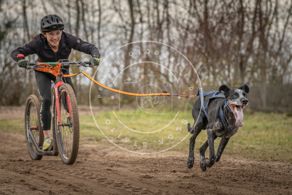 Pfotenfotografie_DV3A9202 | Hundefotografie, Tierfotograf, Pfotenfotografie, Fotoshooting Hund, Hunde Portrait, Hundesport, Hundeportraits, Heideshooting, Hunde, Sportfotograf, Hundefotograf, Turnierhundsport, THS,  - Realisiert mit Pictrs.com