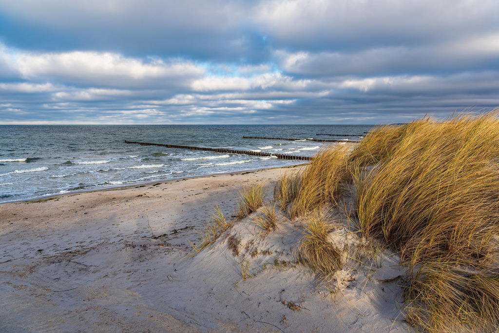 Düne und Buhnen am Strand der Ostsee auf dem Fischland-Darß | Düne und Buhnen am Strand der Ostsee auf dem Fischland-Darß.