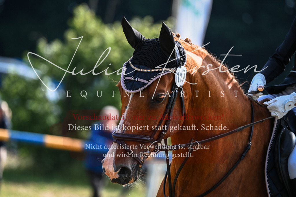 DSC_7942 | Pferde- und Turnierfotografie in Westsachsen. Pferdeportraits, Auftragszeichnungen und intuitive Kunst.