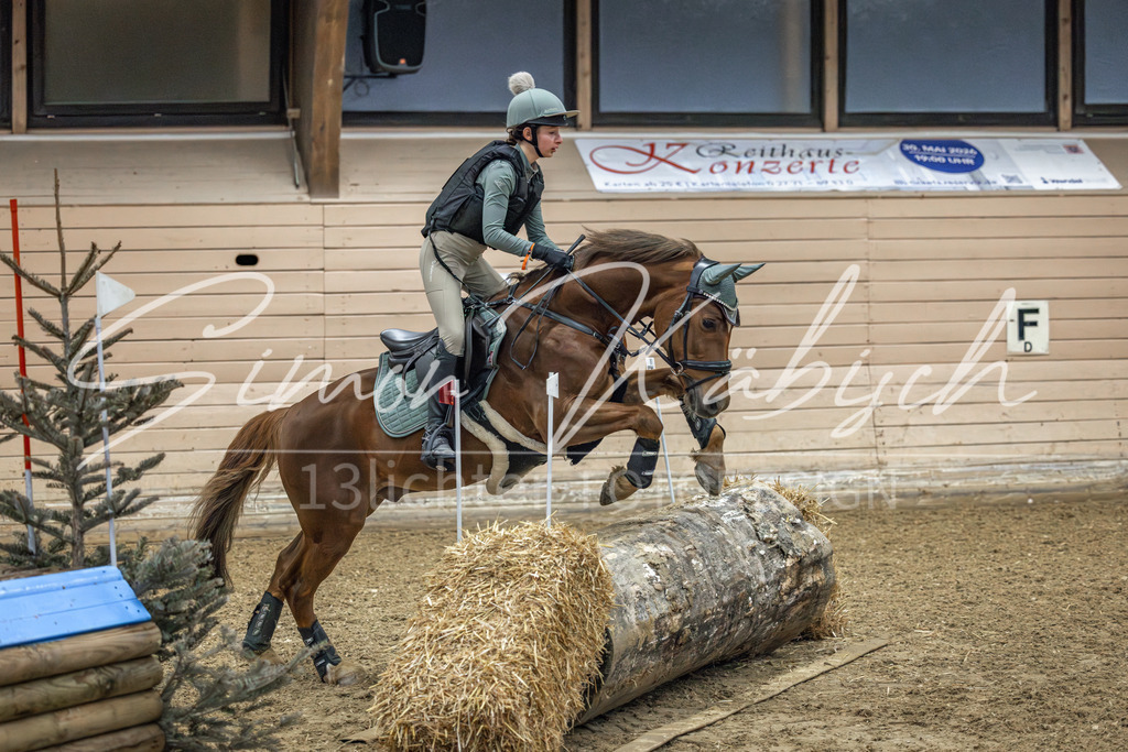 20260222-_3LI0845 | Tierfotografie Pferde, Hunde, Katzen, Haustiere.
Turnierfotografie Reitturniere, Reiten, Springreiten, Dressur in Hanau, dem Main-Kinzig-Kreis und dem Rhein-Main- Gebiet um Frankfurt