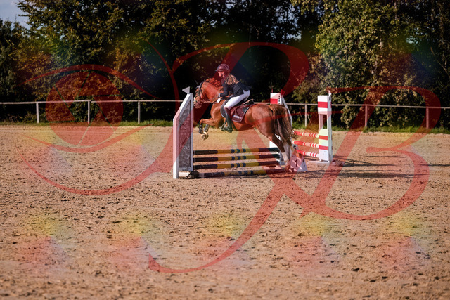 2026_10_03_Siefer-Hof_155744_Z81_77211787 | Professionelle Reitsport-, Turnier- und Eventfotografie von Robert Broda. Galerien mit ausgewählten und bearbeiteten Bildern direkt online ansehen und bestellen.