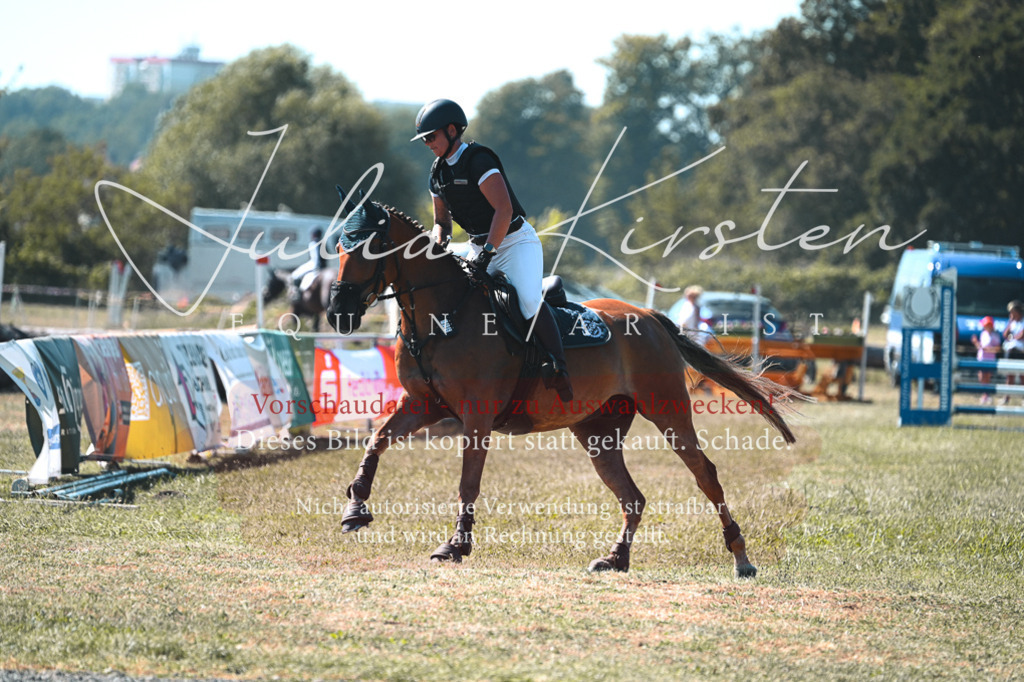 DSC_8023 | Pferde- und Turnierfotografie in Westsachsen. Pferdeportraits, Auftragszeichnungen und intuitive Kunst.