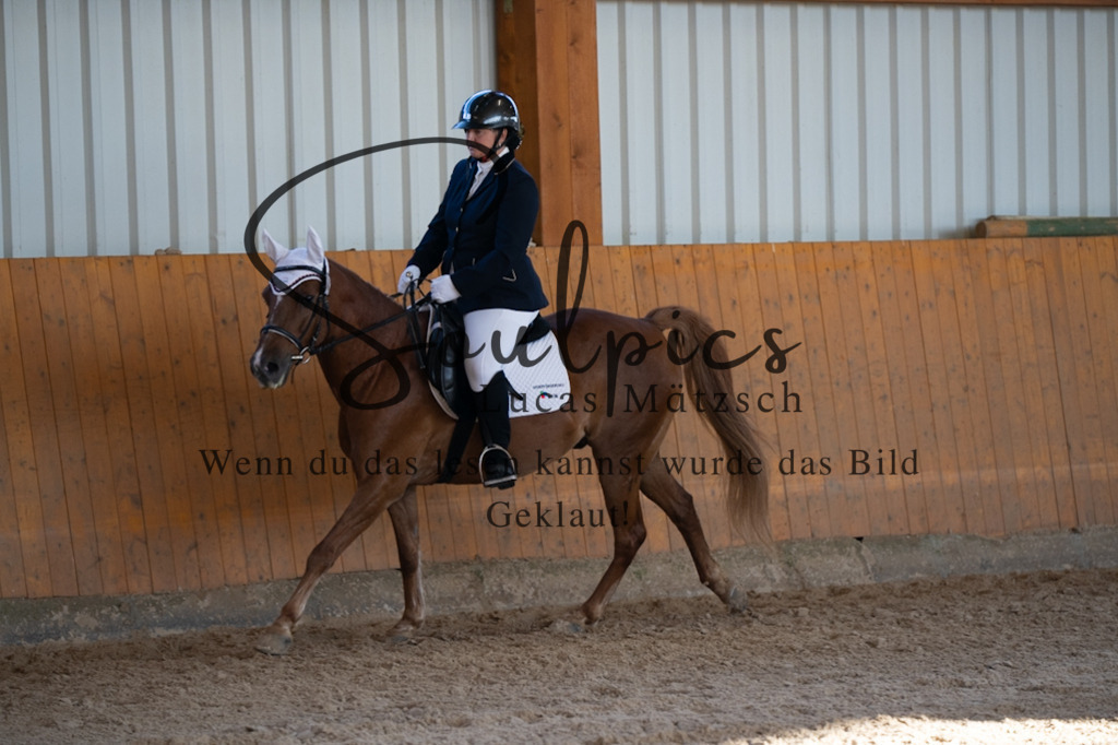 A7V01744 | Turnier/Reitfotograf