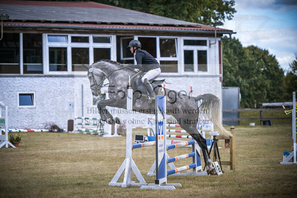DOS_0598 | Entdecke hochwertige Reitturnierfotos von Foto Oger. Professionell, emotional und authentisch – jetzt Lieblingsmomente im Shop bestellen.Deutschlandweite Turnierfotografie. - Realisiert mit Pictrs.com