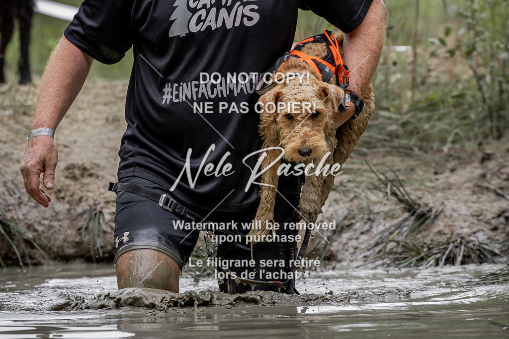 nelerasche_so0930-1000_78 | nelerasche