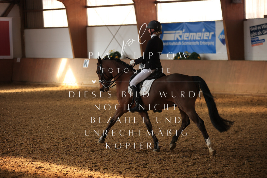 IMGT1292 | pl-fotografie