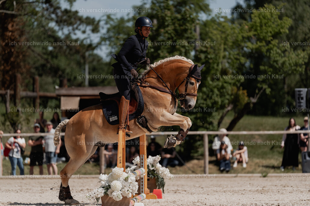 WE_SP_Stoib_308_PI2025_1608 | Pferd International München 2025