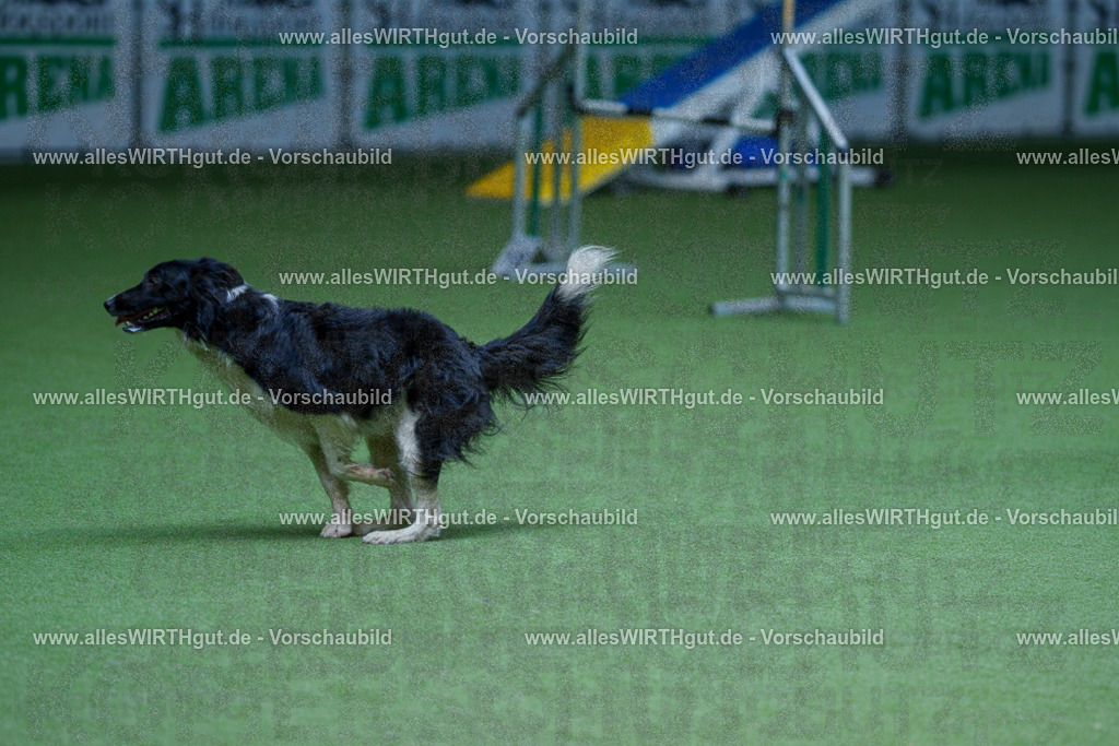 @allesWIRTHgut_Tierfotografie - www.allesWIRTHgut.de - 2604251231-7R502043 | Professionelle Tierfotografie in Mönchengladbach von Daniel Wirth (allesWIRTHgut). Liebevolle & natürliche Bilder von Hunden & Katzen für unvergessliche Erinnerungen.
