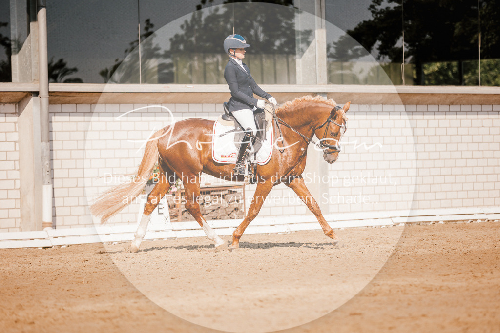 3I6A9103 | Stimmungsvolle Portraits und Reitsportfotografie im Ruhrgebiet und im Münsterland.

Pferdefotografie, Hundefotografie, Tierfotografie, Reportagen, Portraits von Tier und Mensch, Turnierfotografie in Bochum, Recklinghausen, Marl, Haltern am See, Dülmen.. - Realisiert mit Pictrs.com