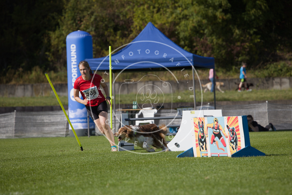 0L8A8370 | Hundefotografie, Tierfotograf, Pfotenfotografie, Fotoshooting Hund, Hunde Portrait, Hundesport, Hundeportraits, Heideshooting, Hunde, Sportfotograf, Hundefotograf, Turnierhundsport, THS,  - Realisiert mit Pictrs.com