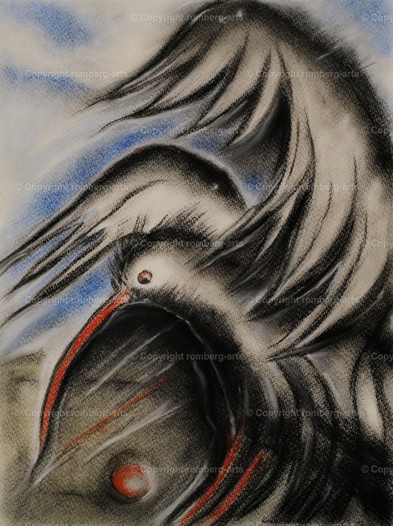 L1020282 (2) | romberg-arts, romberg-arts.de, www.romberg-arts.de, Foto_Online_Shop, Julia Fuhrmann, Köln, Fotos, Fotografie, Fotokunst, Kunstdrucke, Naturfotos, Aktfotos, Nacktfotos, schwarz_weiß_Fotos, Blumenfotos, Blumen, Tiere, Beton, Korrosion, Lächeln, Drucke