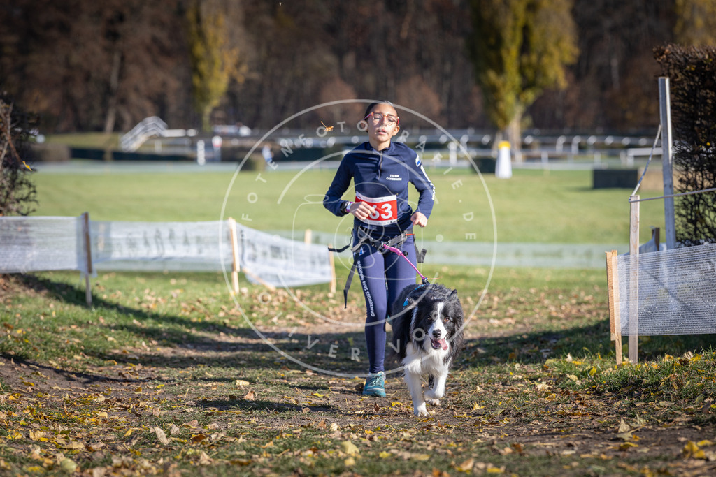 CaniXpix_DV3A8731 | Hundefotografie, Tierfotograf, Pfotenfotografie, Fotoshooting Hund, Hunde Portrait, Hundesport, Hundeportraits, Heideshooting, Hunde, Sportfotograf, Hundefotograf, Turnierhundsport, THS,  - Realisiert mit Pictrs.com