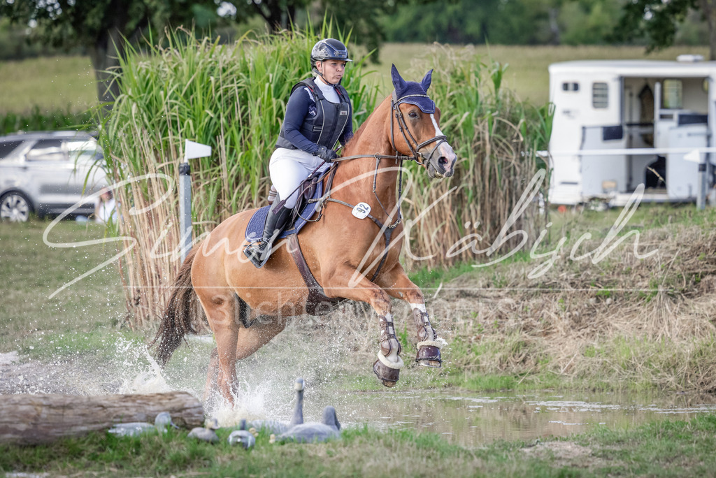 20250906-_3LI7027 | Tierfotografie Pferde, Hunde, Katzen, Haustiere.
Turnierfotografie Reitturniere, Reiten, Springreiten, Dressur in Hanau, dem Main-Kinzig-Kreis und dem Rhein-Main- Gebiet um Frankfurt