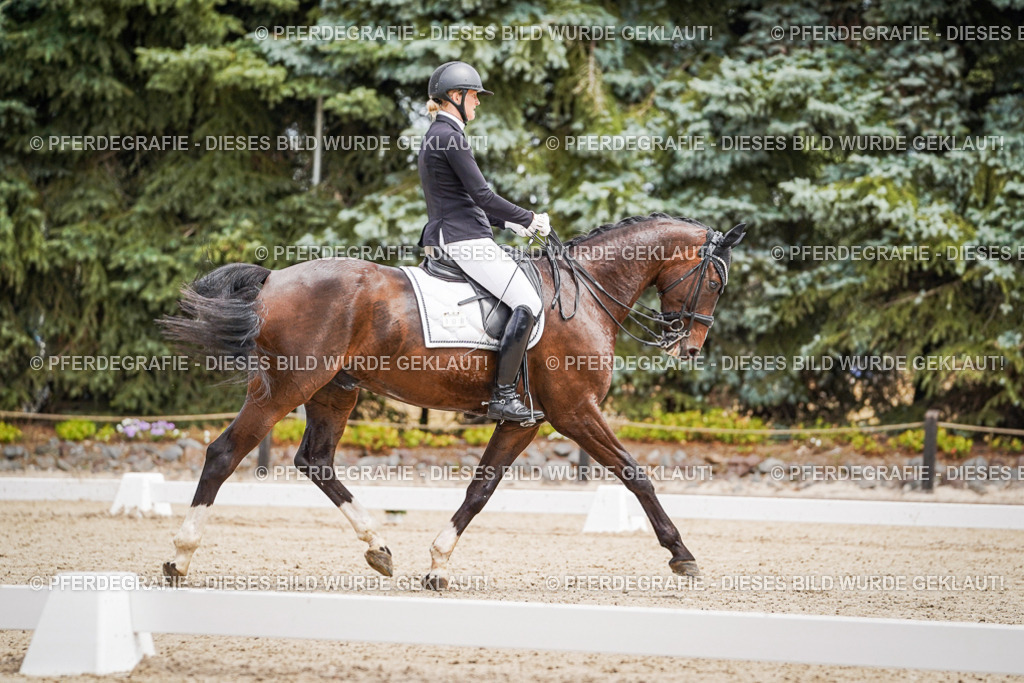 DSC03750 | Pferdegrafie