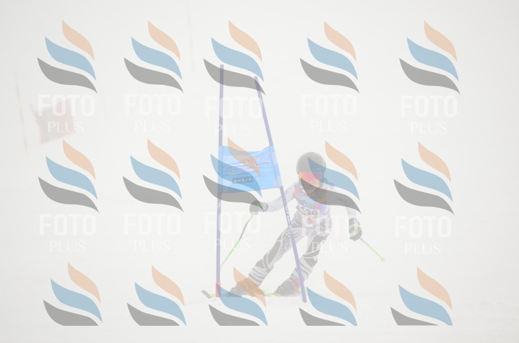 C1672 | holidayphoto