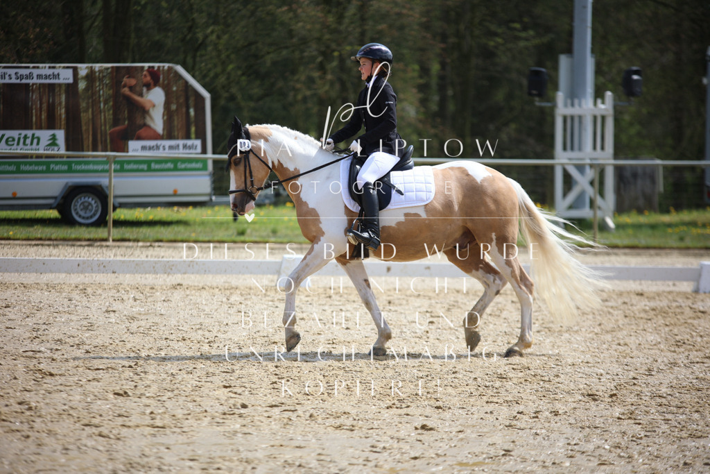 IMGT4191 | pl-fotografie