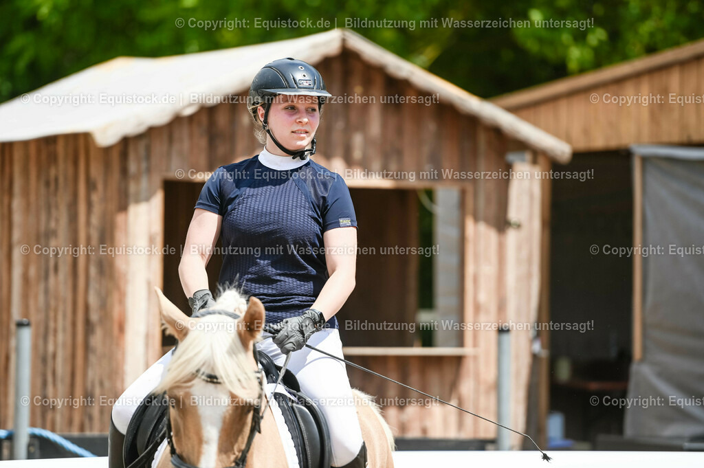 20230715_09_Dressur-WB_0526 | equistock
