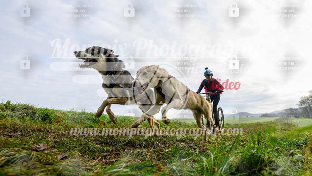 MompixPhotography_Staufertrail2024_SO_DS2-27 | PayLife